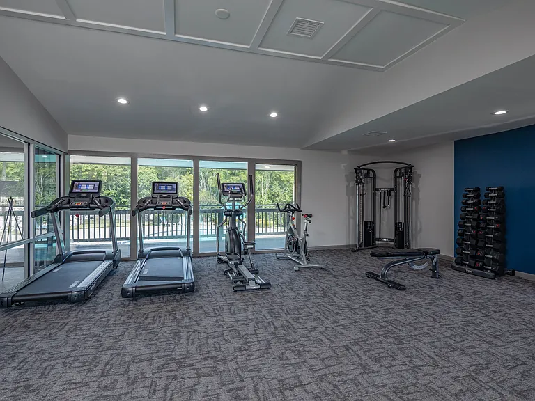 Modern fitness center with state-of-the-art treadmills, exercise bikes, weight machines, and a scenic outdoor view.