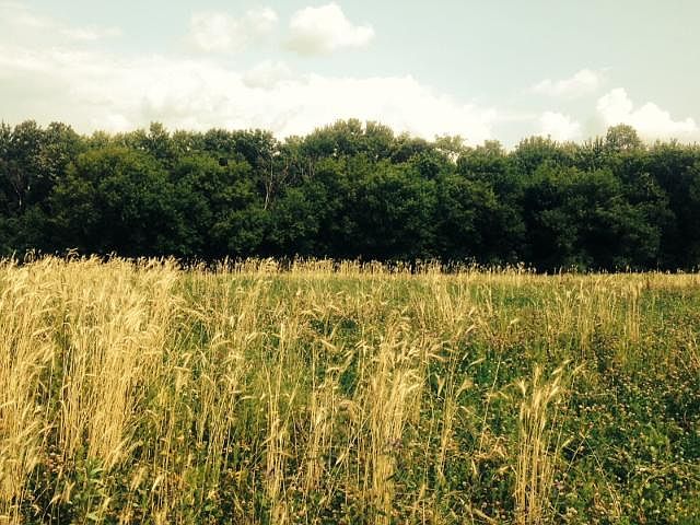 1st image of LOT 575 29 German Cottonwood South 1st Ct