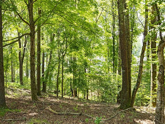 3rd image of 0 E Rockcrest Cir Lot 42