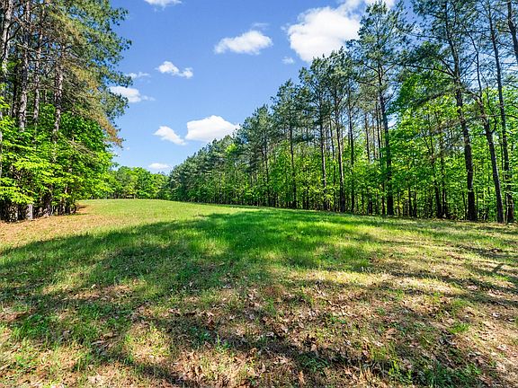 47th image of 635 Seven Mile Ridge Rd