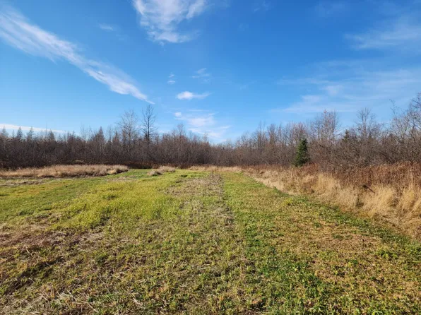 15766 320th Ln, McGregor, MN 55760