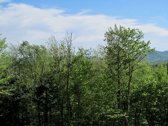 2nd image of 0-4-5 W Side Road
