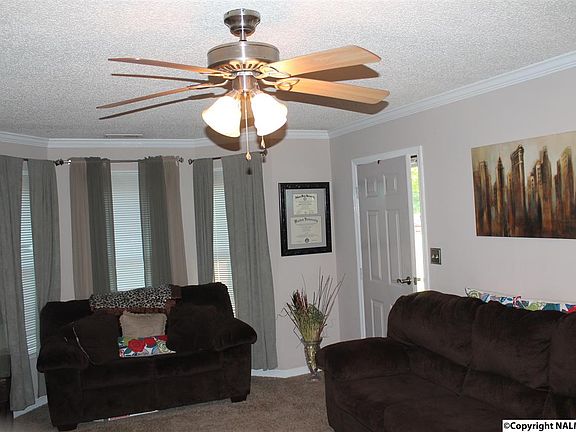 5th image of 113 Enoch Dr
