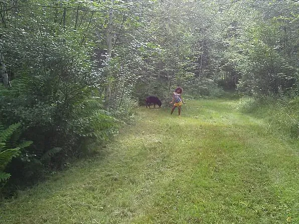 308 Hampshire St, Hiram, ME 04041