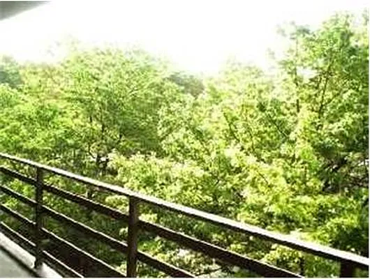 Rented by Douglas Elliman | media 13