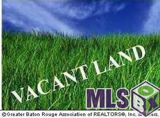 W State Highway 933, Prairieville, LA 70769