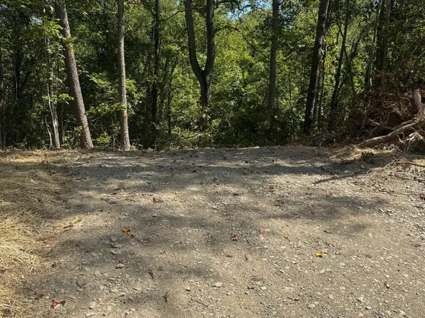 Vacant Land Cabin Branch Rd, Marshall, VA 20115