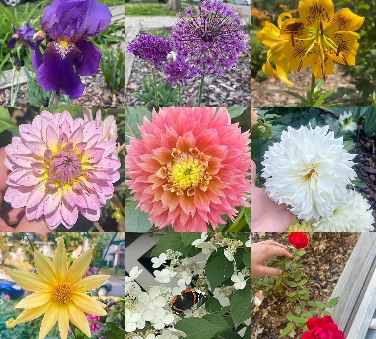 2439 Medary Ave — Photo 4