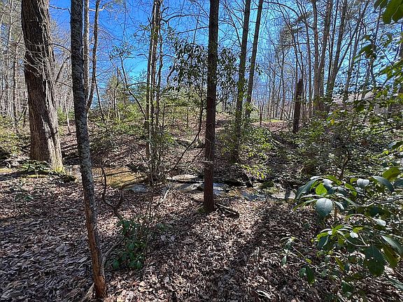 Back of Property-Creek