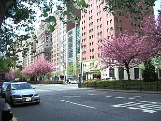 Rented by Nest Seekers International