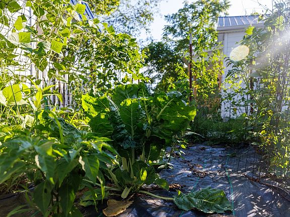 27th image of 7365 Coldwater Rd