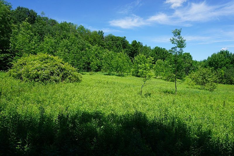2nd image of 0 W RICHMONDVILLE Road