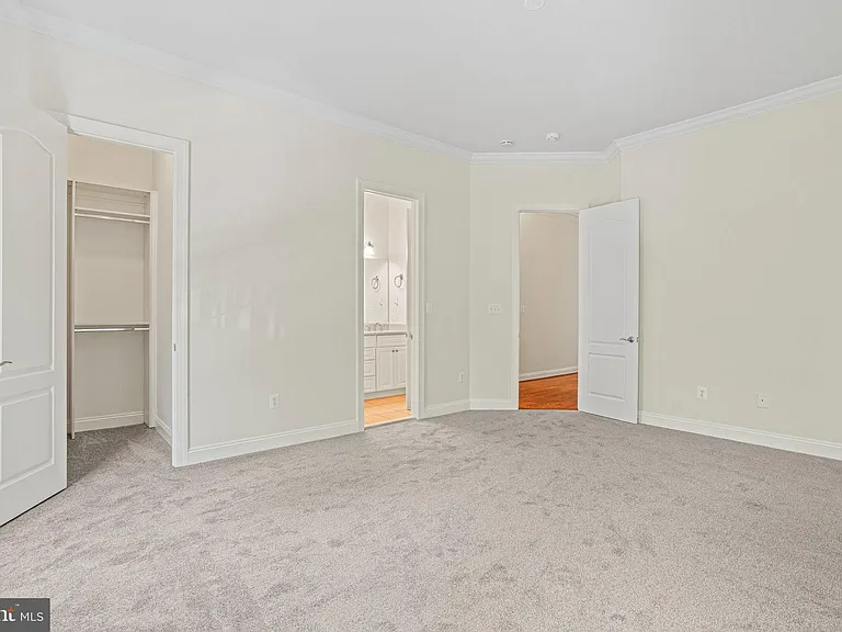 13551 Triadelphia Mill Rd — Photo 45