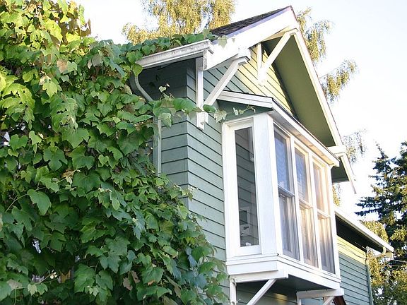 Dining Room Window in Summer