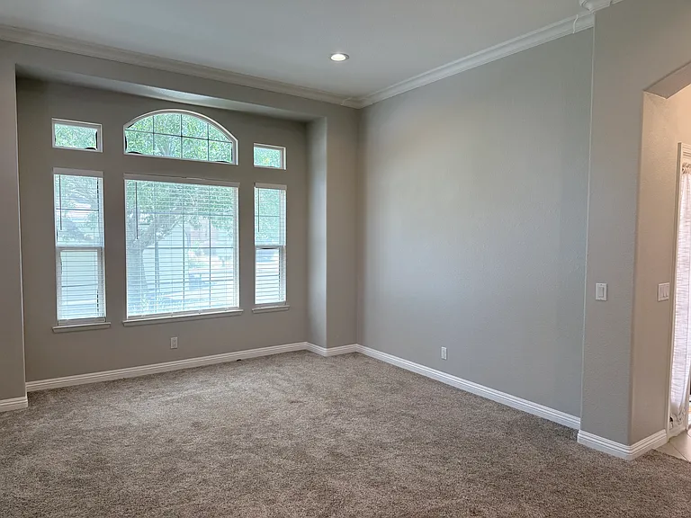 4313 Cocina Ln — Photo 8
