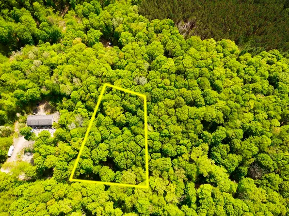 0 Copper Trl SW, Fife Lake, MI 49633