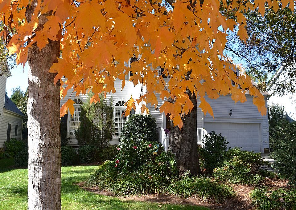 1st image of 7608 Swinford Pl