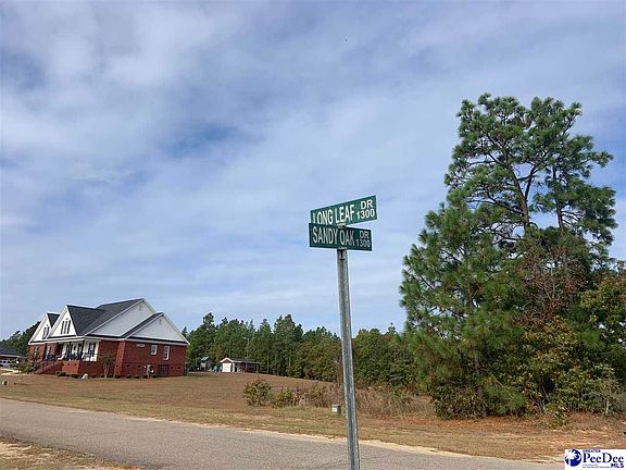 4th image of 1315 Long Leaf Dr