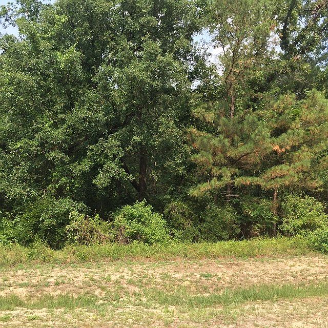 1st image of 102 Wood Duck Point