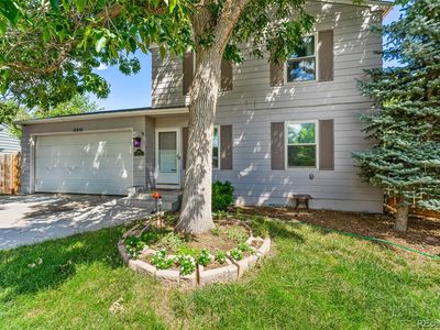 10441 W 107th Avenue, Westminster, CO, 80021