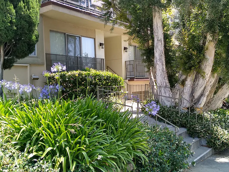 7245 Franklin Avenue — Photo 5