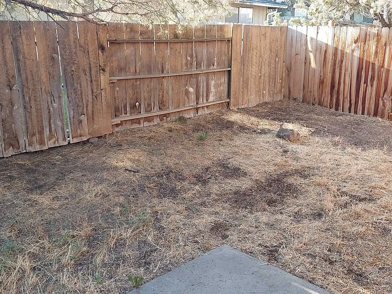 d510 — Photo 7