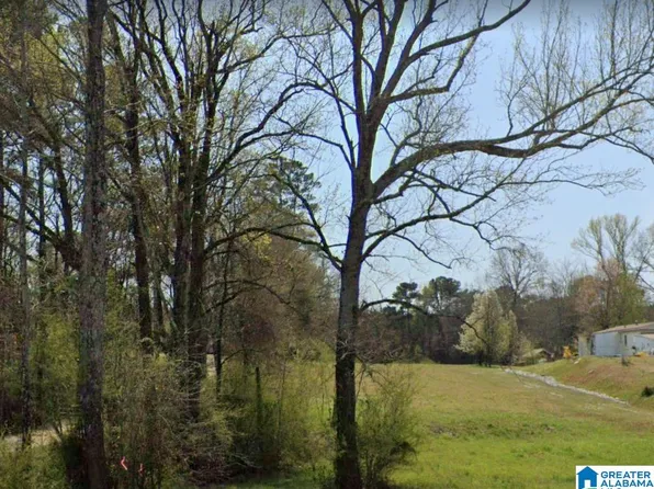 1 Acre Hwy #21, Munford, AL 36268