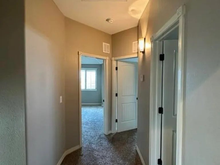 13197 Shady Trail Ct — Photo 15