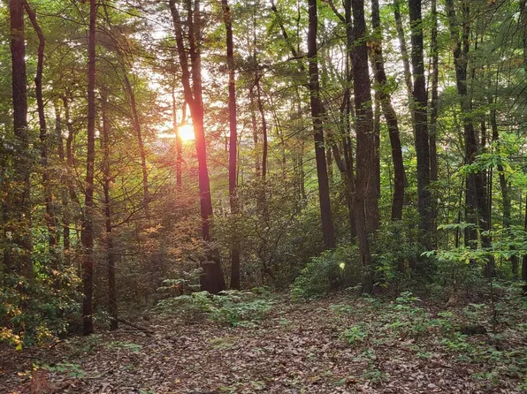 Bull Mountain Rd, Del Rio, TN 37727