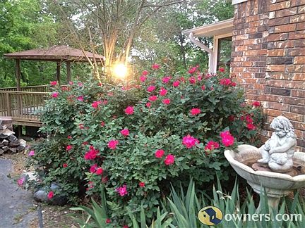 Side View with Gazebo in background