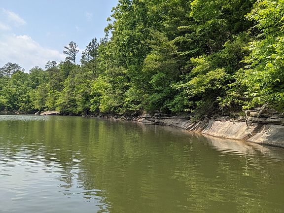 Sipsey River (Bankhead National Forest shoreline access downstream from property)