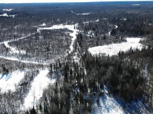 N4100 Stade Road, Prentice, WI 54556