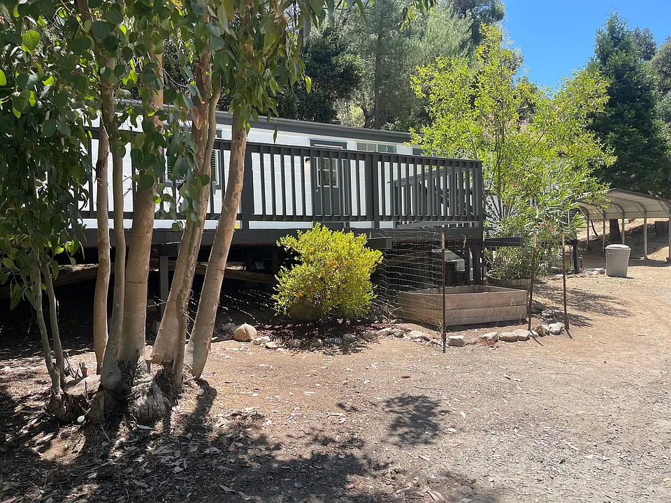 View from yard