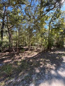 Lot 1 SE 843rd St, Old Town, FL, 32680