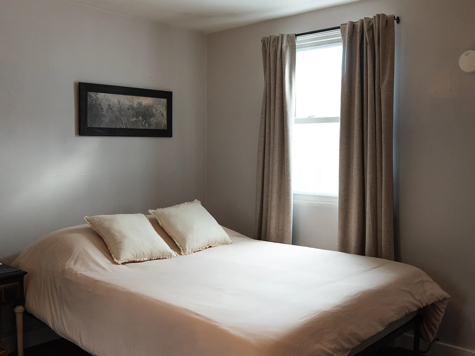 1 bed, 432 sqft, $900 — Photo 3