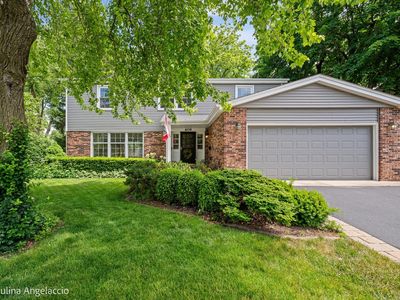609 N Eagle Ln, Palatine, IL, 60067