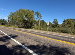 14234 Highway 90 N, Bedias, TX 77831