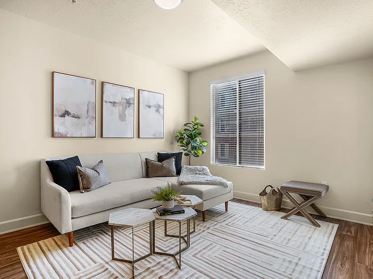 Birkhill Apartments — Photo 8