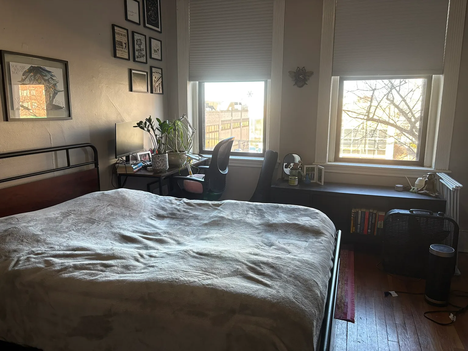 3 bed, $3,800 — Photo 4
