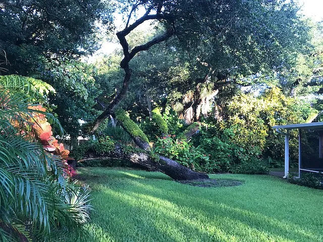 328 Live Oak Rd — Photo 5