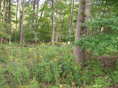 485 W Ogemaw Center Rd, West Branch, MI, 48661