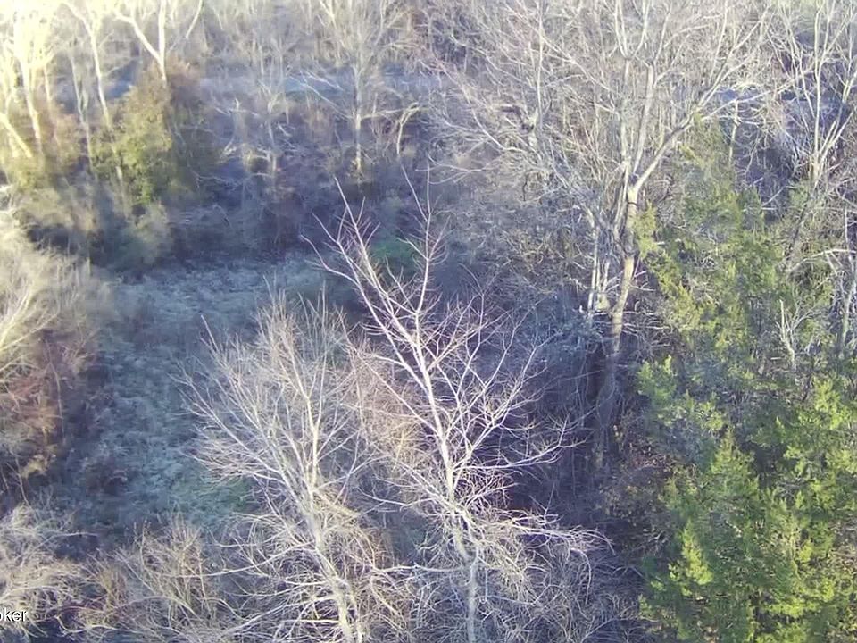 2nd image of 126 Davis Rd