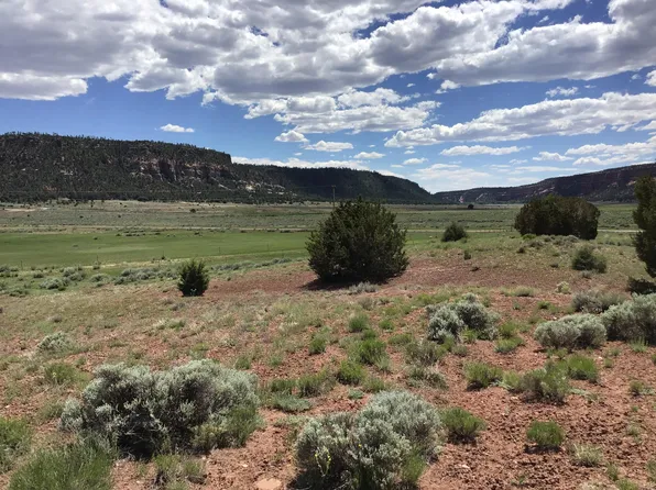 LOT Timberlake Rd #D, Ramah, NM 87321