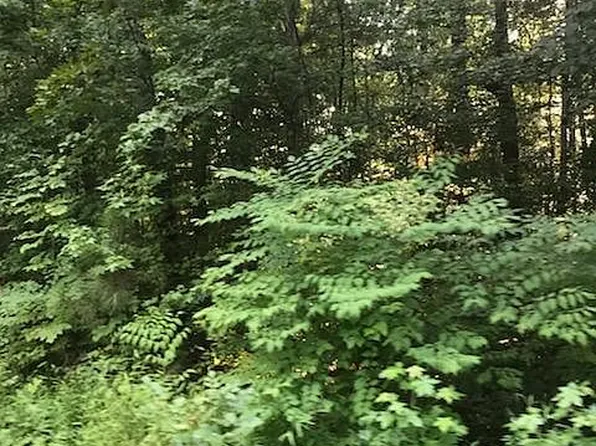 Forest Ln, Buchanan, TN 38222