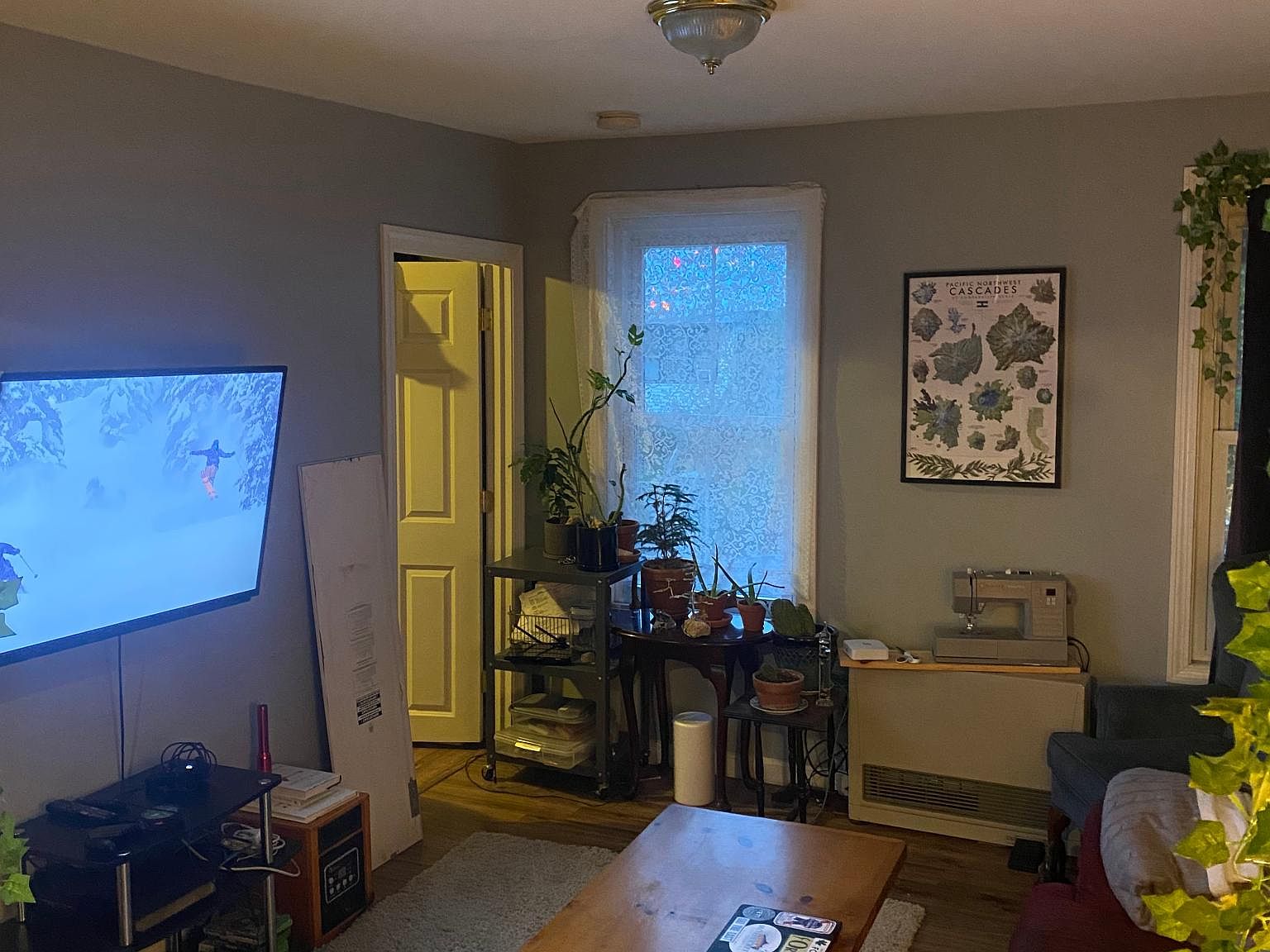 454 Colchester Ave APT 1, Burlington, VT 05401 Zillow