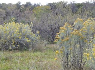 XX Christopher Rd, Silver City, NM 88061