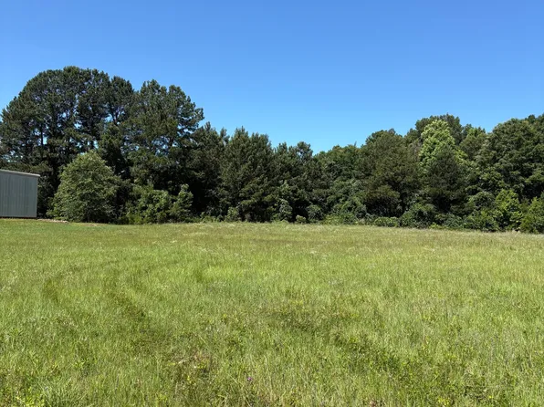 3.31 M Friedman Dr, Sandersville, GA 31082