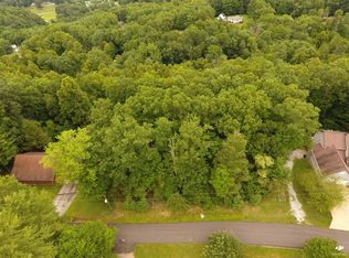 Dameron Ridge Rd, Erwin, TN 37650