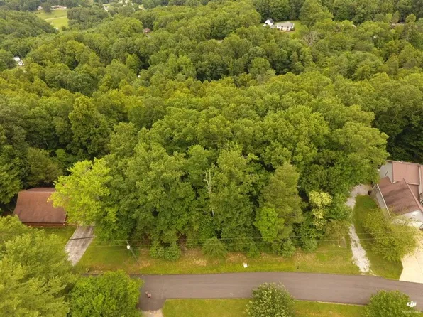 Dameron Ridge Rd, Erwin, TN 37650