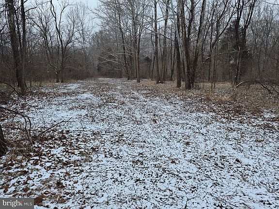 3rd image of Low Line Rd